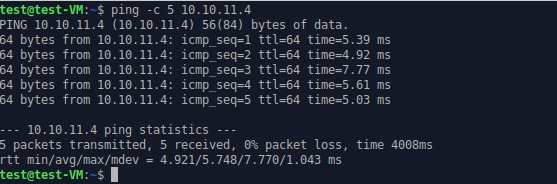test ping